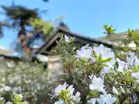裏木神社の自然