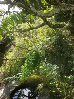 英勝寺の手水舎