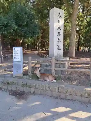 春日大社(奈良県)
