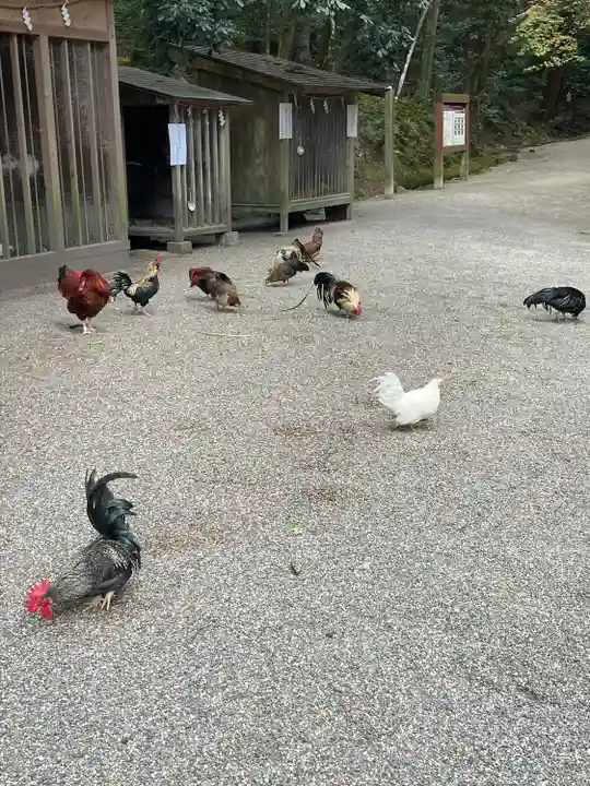 石上神宮(奈良県)