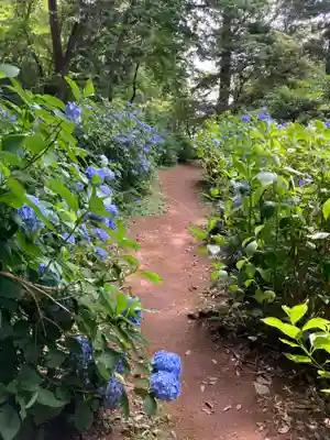 大宝八幡宮(茨城県)