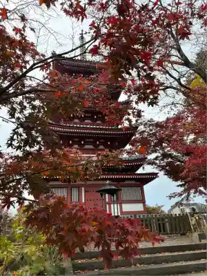 本土寺(千葉県)