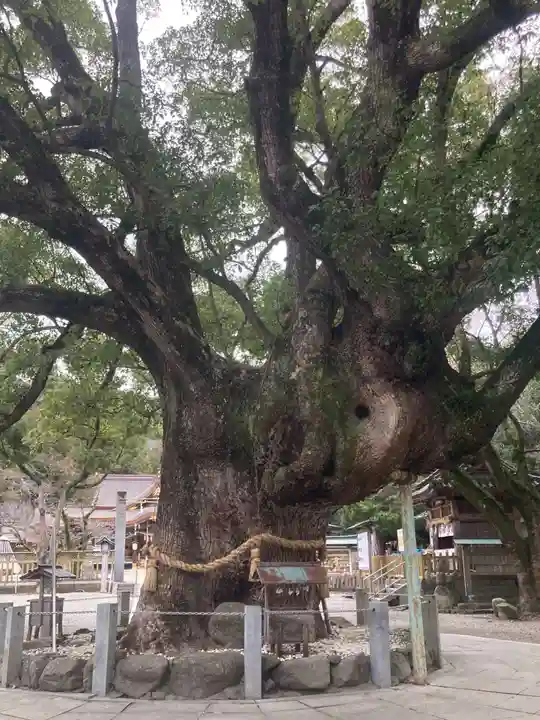 大麻比古神社(徳島県)