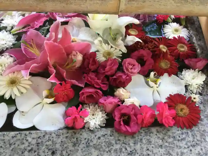 札幌伏見稲荷神社の手水舎