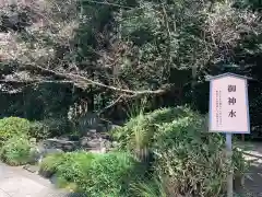 櫻木神社の建物その他