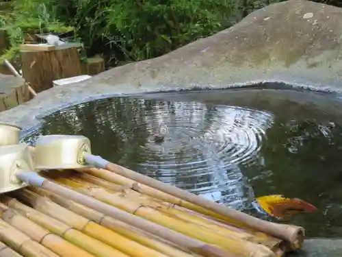 日枝神社の手水