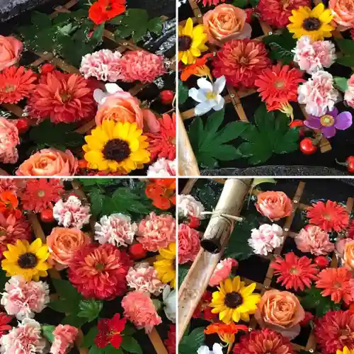 千歳神社の手水舎