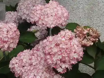 御霊神社(神奈川県)
