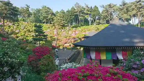 塩船観音寺の景色