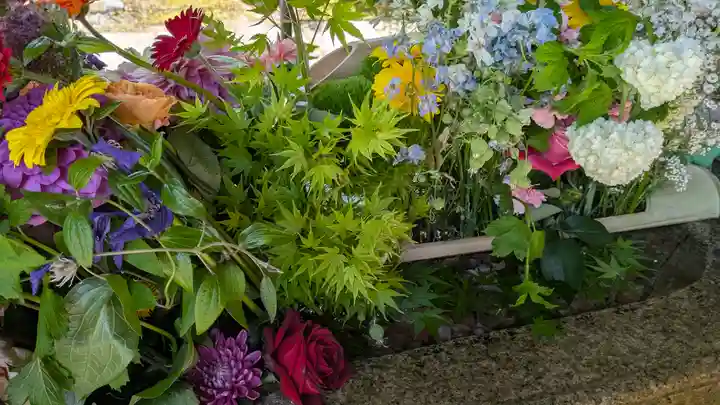 勝林寺(京都府)