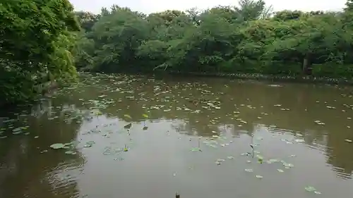 旗上弁財天社の景色