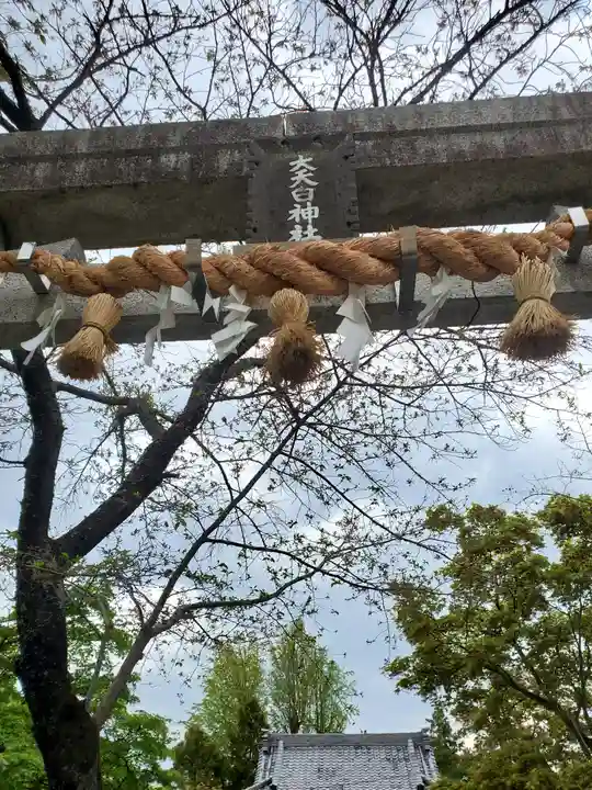大天白神社(埼玉県)