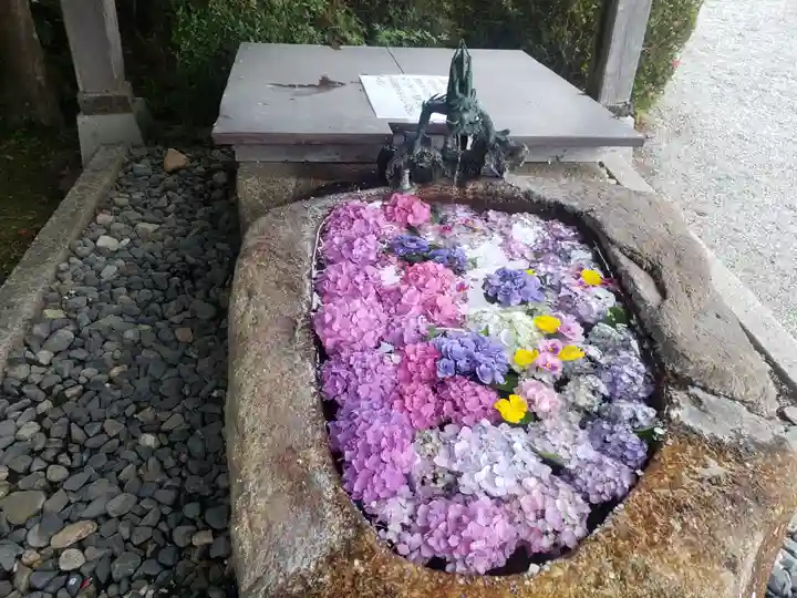 櫟野寺の手水舎