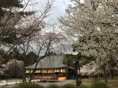 醍醐寺の景色