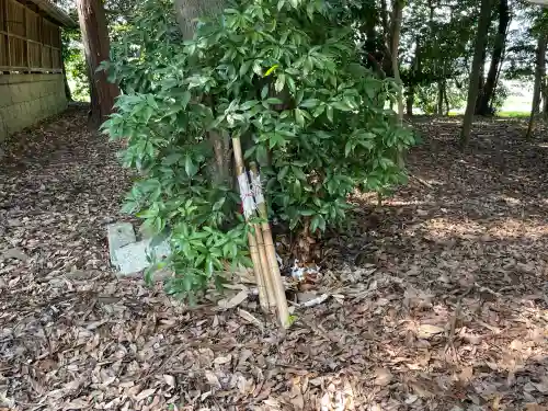 宇賀神社(滋賀県)