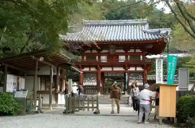 岡寺（龍蓋寺）の山門・神門