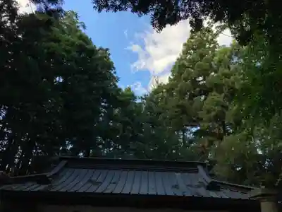 鹿島神社(茨城県)