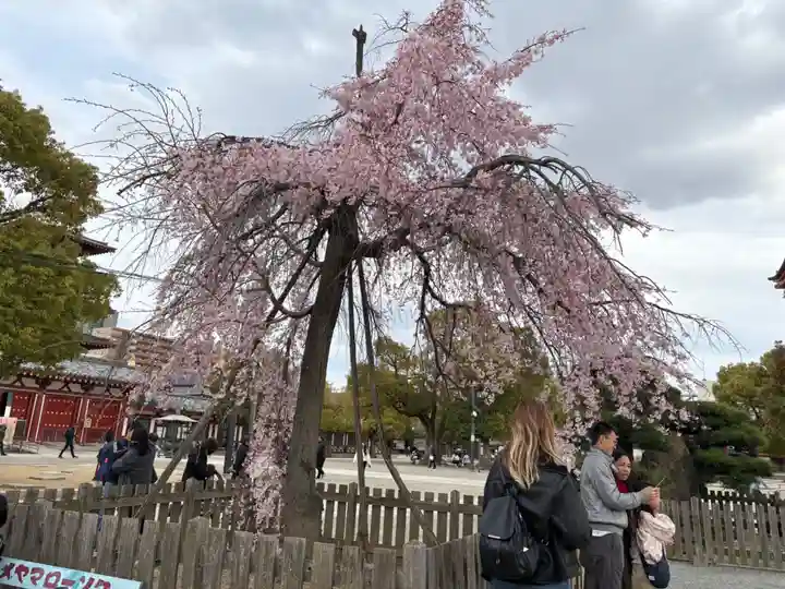 四天王寺(大阪府)
