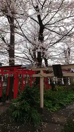 金山神社(若宮八幡宮境内社)の鳥居