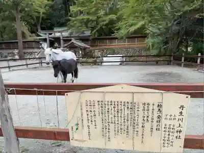 丹生川上神社（下社）(奈良県)