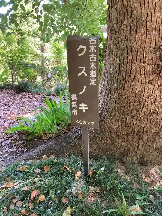 横浜 西方寺の自然