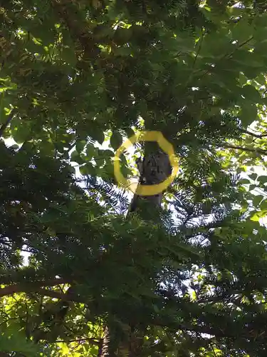 奈井江神社(北海道)