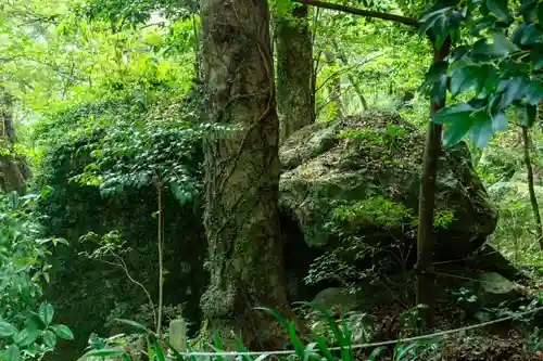 阿波々神社(静岡県)
