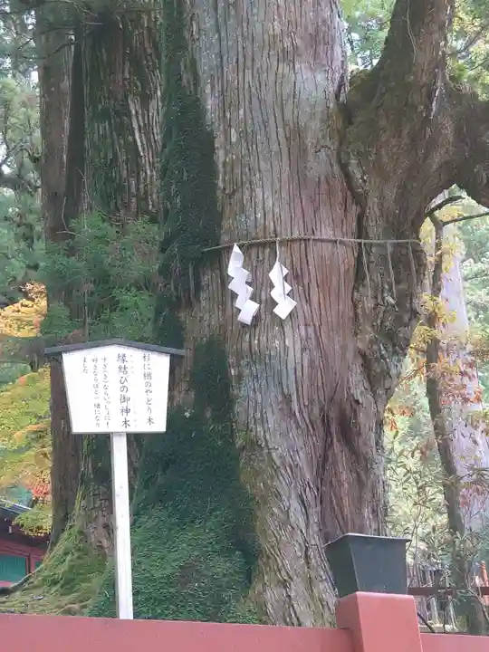 日光二荒山神社の自然