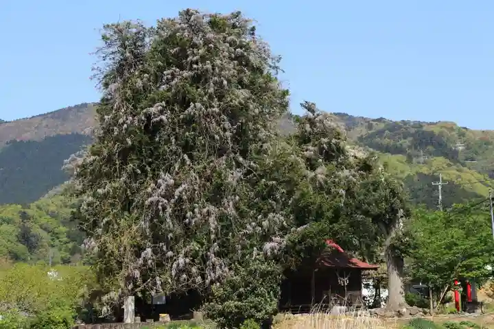 深山神社の景色