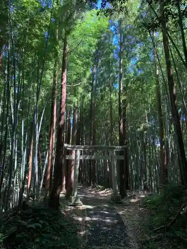 船木神社の鳥居