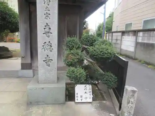 専称寺(東京都)