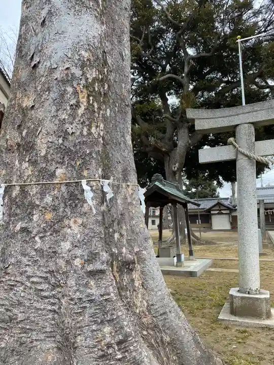 雷電神社(茨城県)