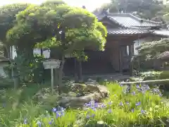 極楽寺（霊鷲山感應院極楽律寺）の建物その他