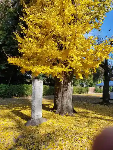 鷲宮神社の庭園