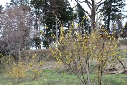 阿久津「田村神社」（郡山市阿久津町）旧社名：伊豆箱根三嶋三社の庭園