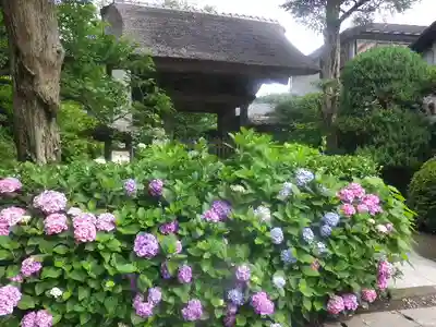 極楽寺（霊鷲山感應院極楽律寺）のその他建物