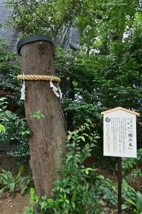 川越八幡宮(埼玉県)