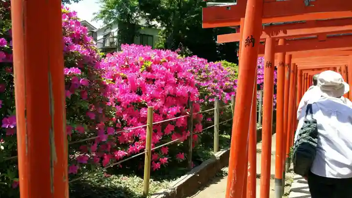 根津神社(東京都)