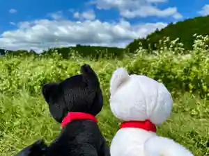 丹生都比売神社(和歌山県)(2024年09月23日(月) 11時29分24秒投稿)