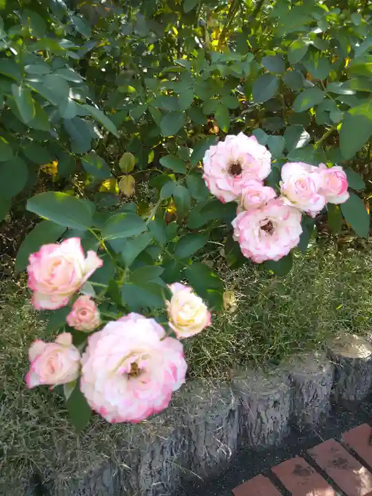 霊山寺(奈良県)