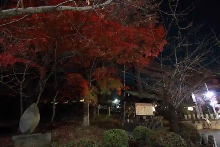 開成山大神宮の鳥居