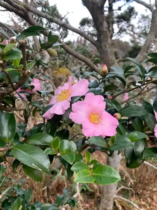 藥王寺(福島県)