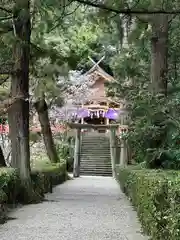 高鴨神社(奈良県)