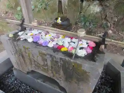 安國論寺（安国論寺）の手水舎