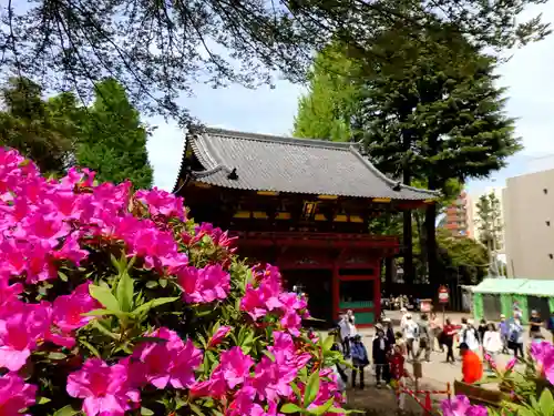 根津神社の山門