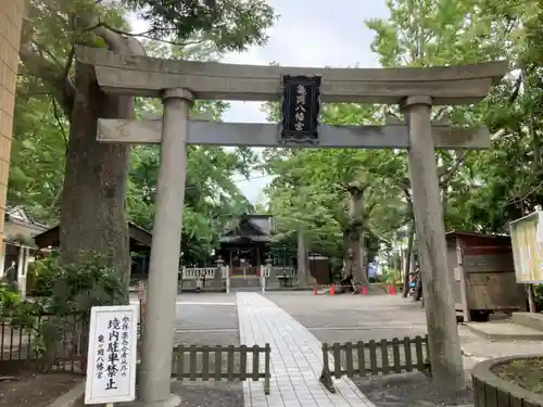 亀岡八幡宮（亀岡八幡神社）の鳥居