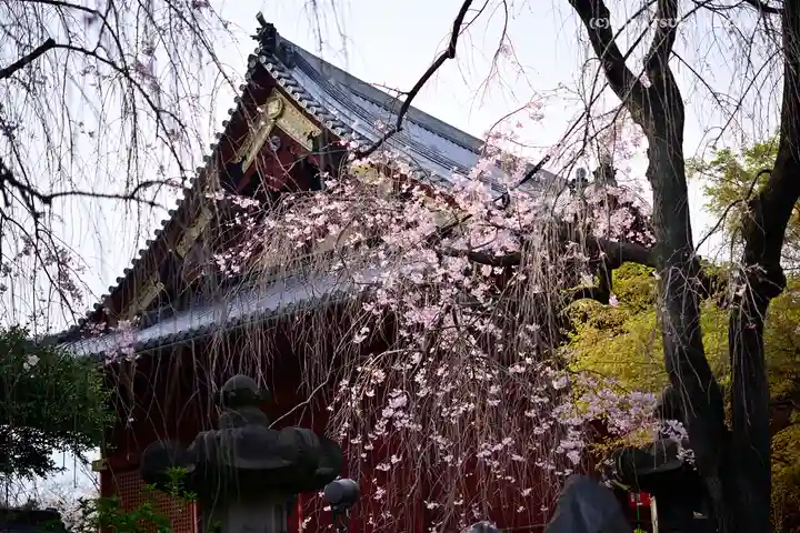 清水観音堂のその他建物