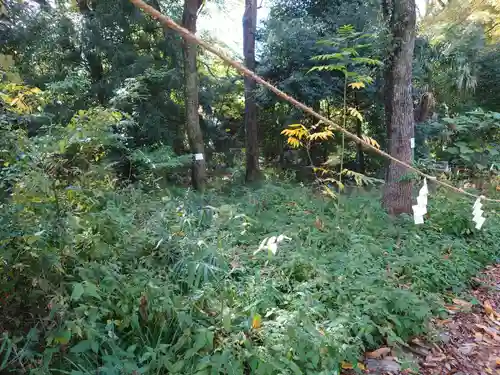 布多天神社の自然
