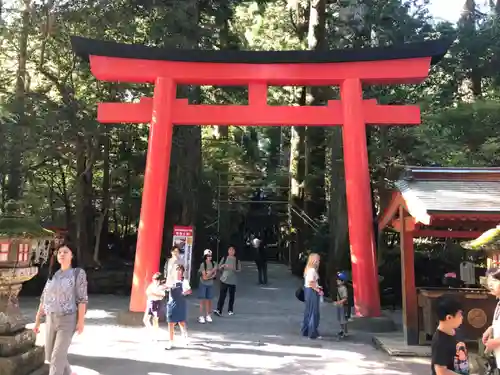 箱根神社の鳥居