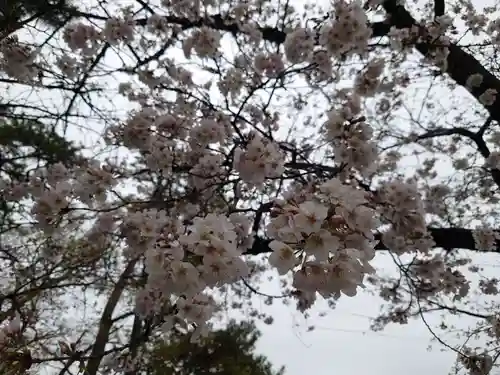 鹿苑神社の自然